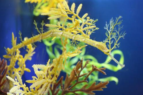 3716525607_383cbd9e12_o