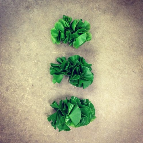 sea_lettuce_no1_1