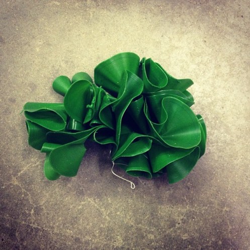 sea_lettuce_no1_3