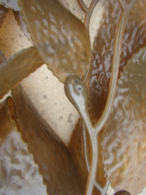 ???????????????????????????????